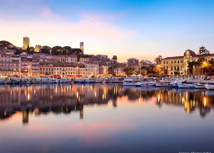 Daire Les Araucarias By Interhome Cannes