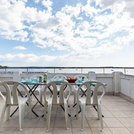 Les Araucarias By Interhome * Cannes