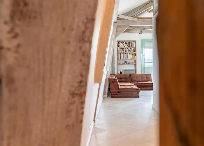 Appartement Les Araucarias By Interhome Cannes