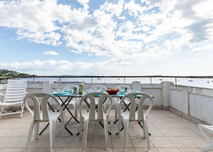 Les Araucarias By Interhome * Cannes